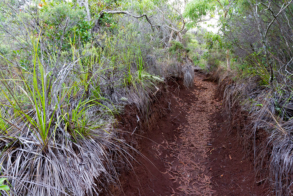 Kauai - 029.jpg